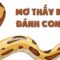 Chuyên Gia Của Mmwin Giải Mã Việc Nằm Mơ Thấy Rắn