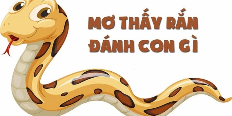 Mmwin
